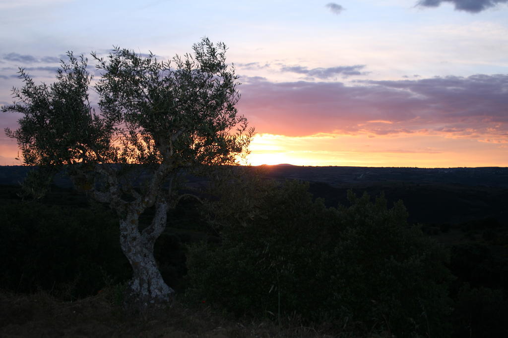 Rural La Enoteca Del Marques